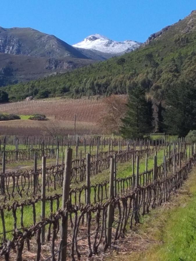 L'Auberge Chanteclair Franschhoek Kültér fotó