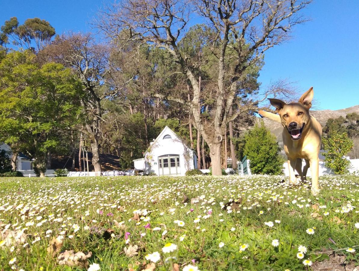 L'Auberge Chanteclair Franschhoek Kültér fotó