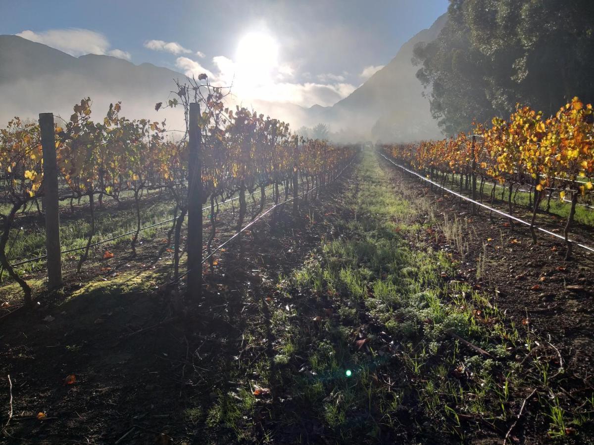 L'Auberge Chanteclair Franschhoek Kültér fotó